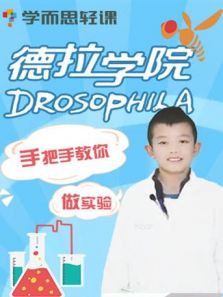 德拉少儿科学实验室动漫