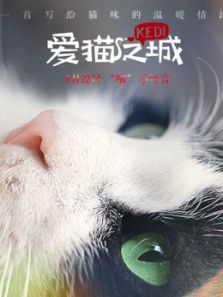 爱猫之城电影