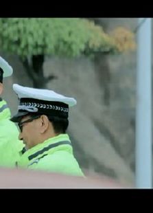 警在囧途电影