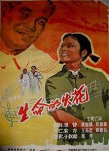 大圣文化（1962）电影