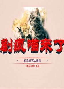 剧疯喵来了（2017）