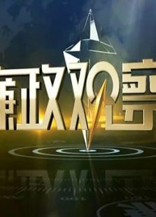 廉政观察（2017）