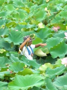 野食小哥（2020）