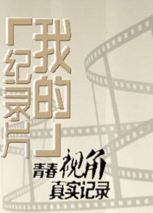 我的纪录片（2017）