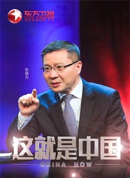 这就是中国竖屏版（2021）